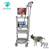 High Quality WET-6000 Medical veterinary small animal video endoscope