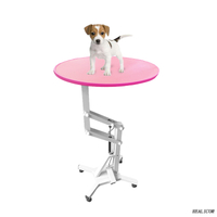 WN-209 Height adjustable pet cat dog Pneumatic grooming table