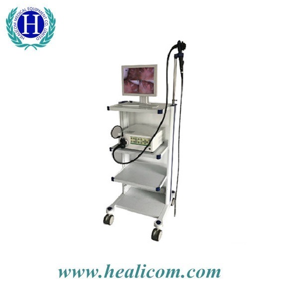HVET-9000A Medical Equipment Electric Vet / Veterinary Video Endoscope For Animal