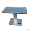 WT-22 Stainless Steel Customize Electric Foot Control Multifunctional Electric Lifting Pet Treatment Table