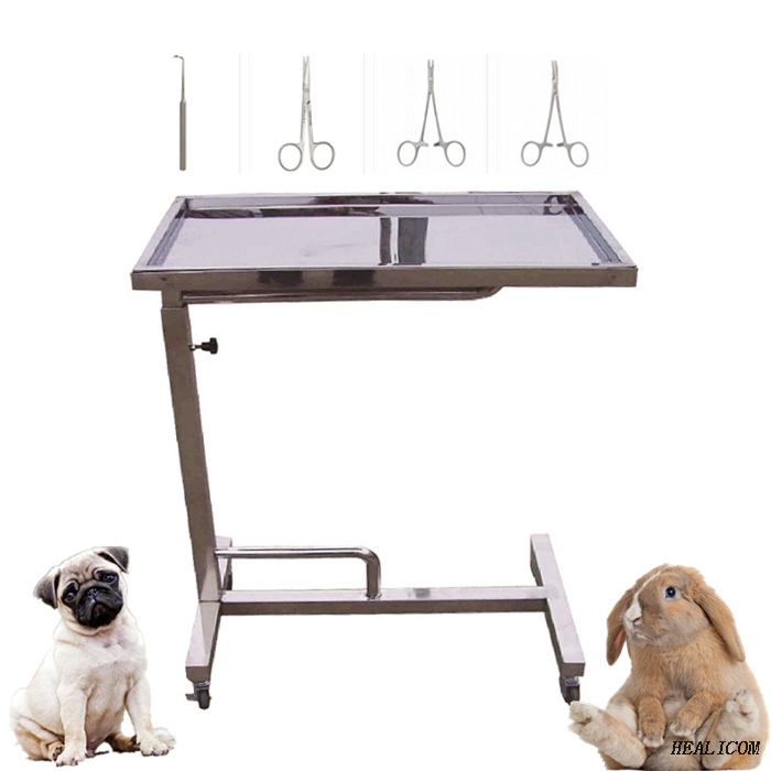 Best Price WJF-01 Vet stainless steel surgical instrument trays for dog and cat