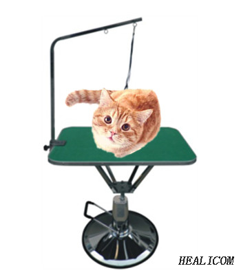 WT-59 Stainless Steel Chromium Electroplating Customize Hydraulic Pet Grooming Table
